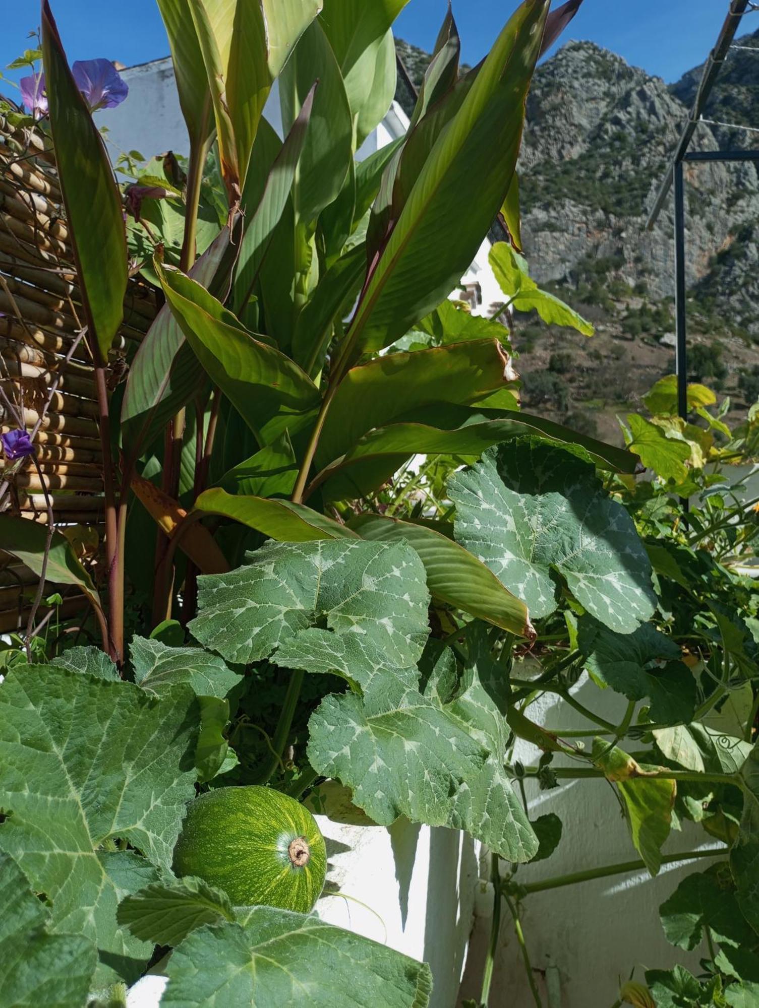 Bed and Breakfast Dar Sbaa Chefchaouen Esterno foto